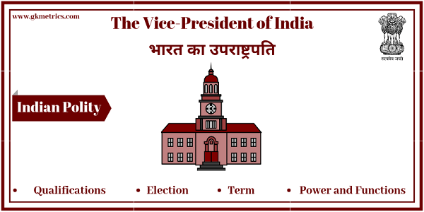 Vice President