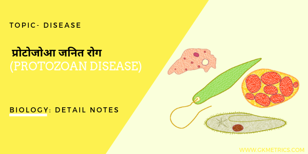 Protozoan disease