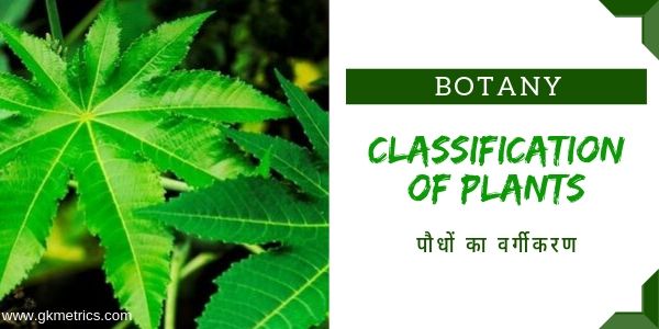 Classification of Plants