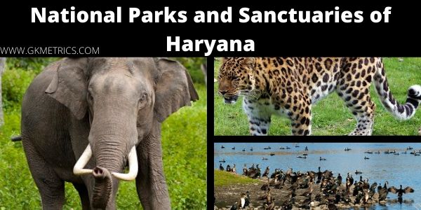 National Parks and Sanctuaries of Haryana